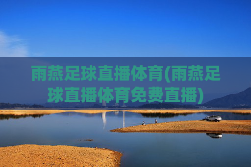 雨燕足球直播体育(雨燕足球直播体育免费直播)