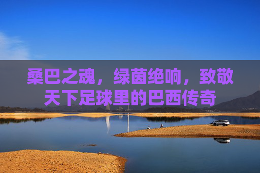 桑巴之魂,绿茵绝响,致敬天下足球里的巴西传奇
