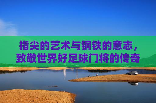 指尖的艺术与钢铁的意志,致敬世界好足球门将的传奇