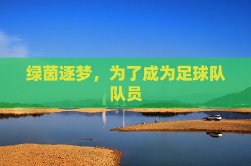 绿茵逐梦,为了成为足球队队员