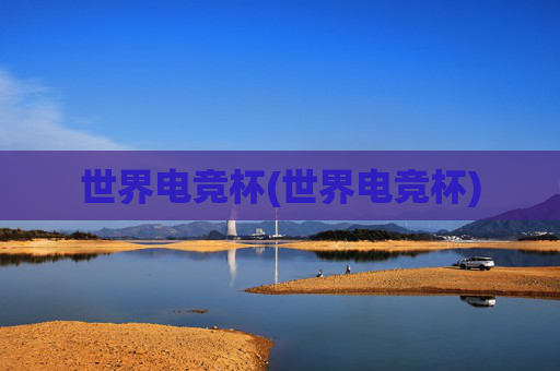 世界电竞杯(世界电竞杯)