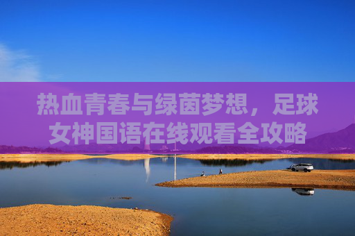 热血青春与绿茵梦想,足球女神国语在线观看全攻略