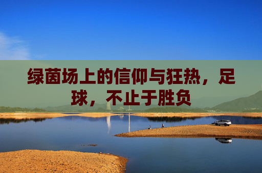 绿茵场上的信仰与狂热,足球,不止于胜负