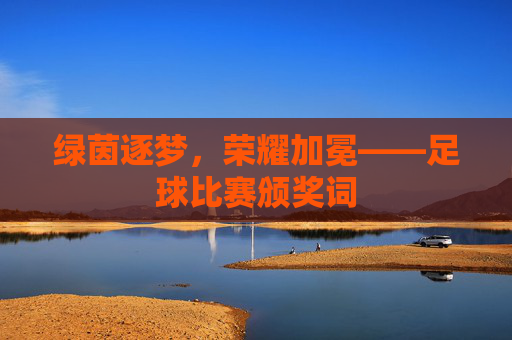 绿茵逐梦,荣耀加冕——足球比赛颁奖词
