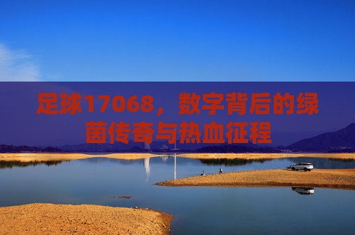 足球17068,数字背后的绿茵传奇与热血征程