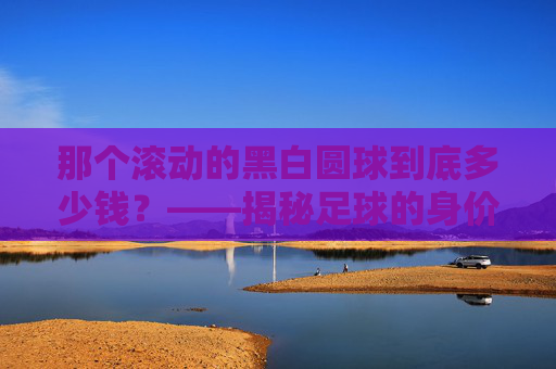 那个滚动的黑白圆球到底多少钱?——揭秘足球的身价