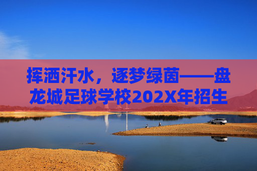 挥洒汗水,逐梦绿茵——盘龙城足球学校202X年招生正式启动