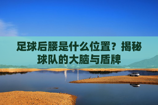 足球后腰是什么位置?揭秘球队的大脑与盾牌