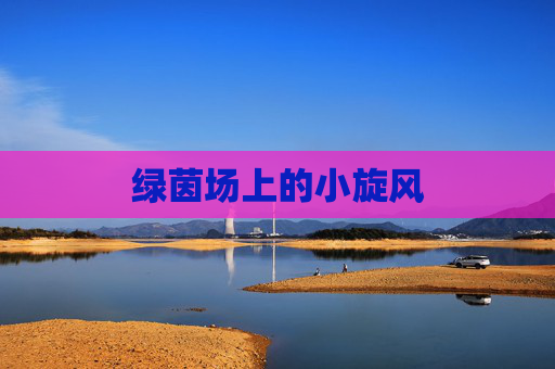 绿茵场上的小旋风