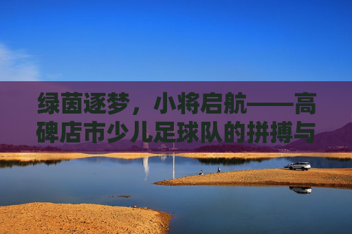 绿茵逐梦,小将启航——高碑店市少儿足球队的拼搏与成长