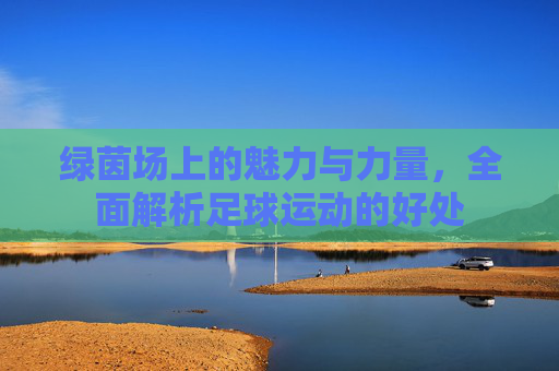 绿茵场上的魅力与力量,全面解析足球运动的好处