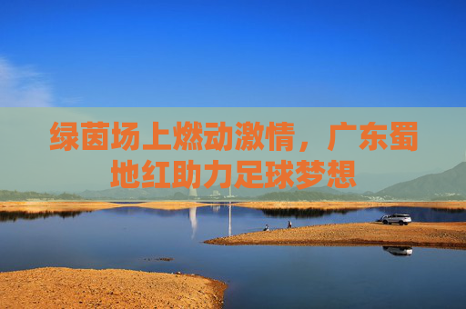绿茵场上燃动激情,广东蜀地红助力足球梦想