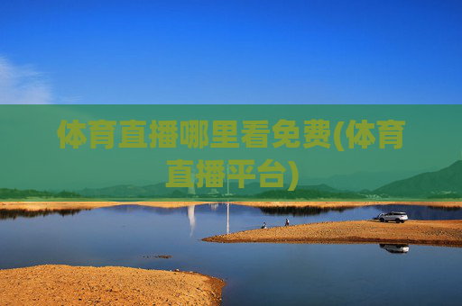体育直播哪里看免费(体育直播平台)