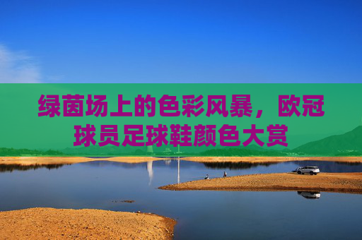 绿茵场上的色彩风暴,欧冠球员足球鞋颜色大赏