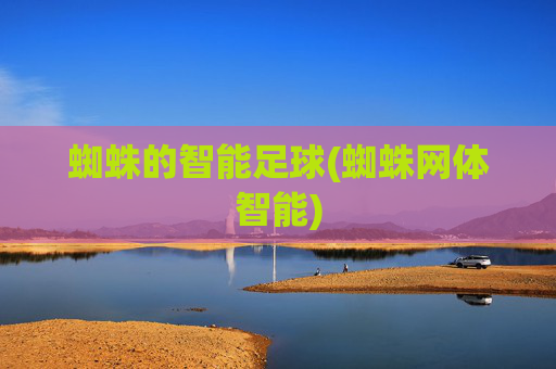 蜘蛛的智能足球(蜘蛛网体智能)