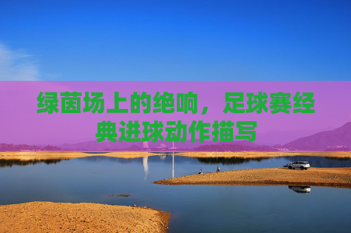 绿茵场上的绝响,足球赛经典进球动作描写