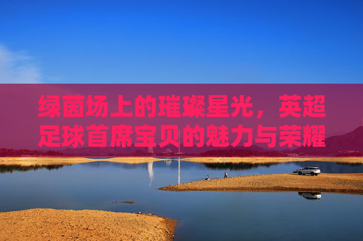 绿茵场上的璀璨星光,英超足球首席宝贝的魅力与荣耀
