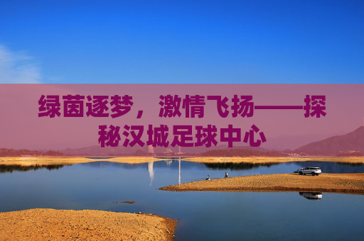 绿茵逐梦,激情飞扬——探秘汉城足球中心