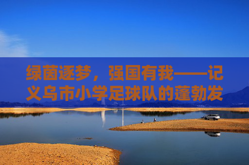 绿茵逐梦,强国有我——记义乌市小学足球队的蓬勃发展