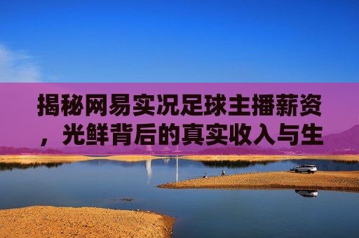 揭秘网易实况足球主播薪资,光鲜背后的真实收入与生存现状