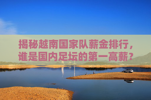 揭秘越南国家队薪金排行,谁是国内足坛的第一高薪?