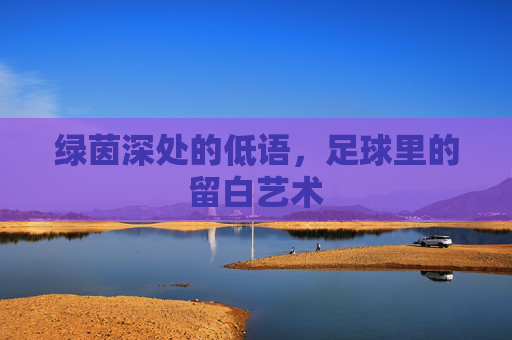 绿茵深处的低语,足球里的留白艺术