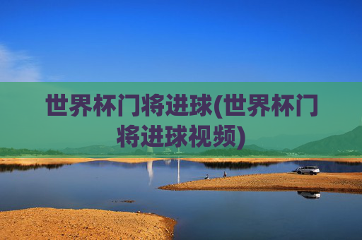 世界杯门将进球(世界杯门将进球视频)