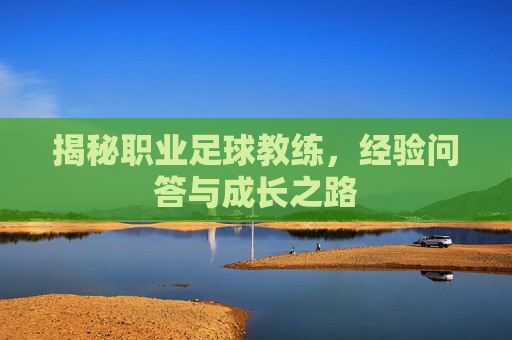 揭秘职业足球教练,经验问答与成长之路
