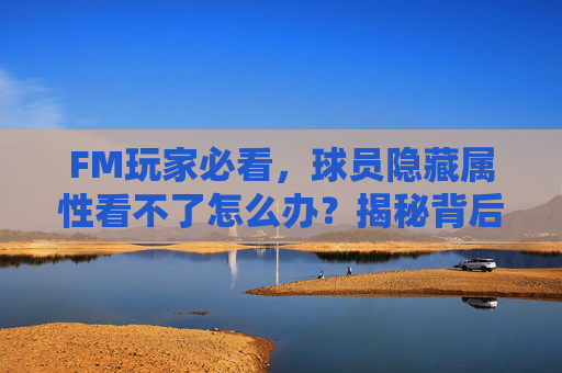 FM玩家必看，球员隐藏属性看不了怎么办？揭秘背后的真相与应对技巧