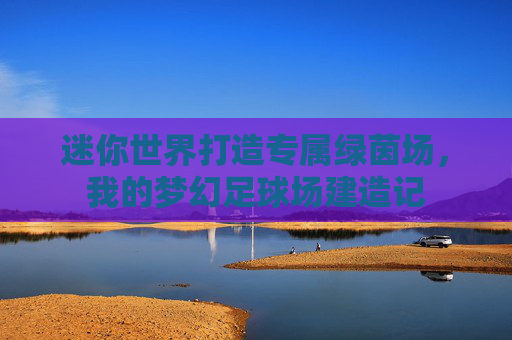 迷你世界打造专属绿茵场,我的梦幻足球场建造记