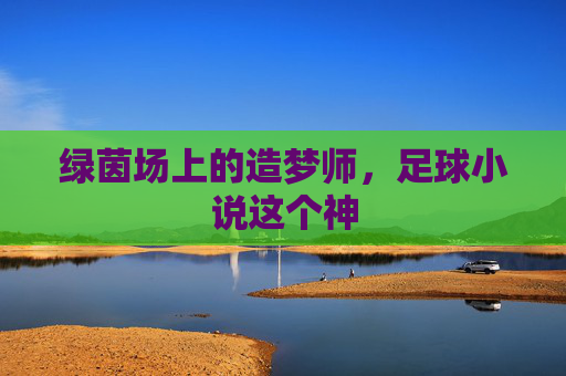 绿茵场上的造梦师,足球小说这个神