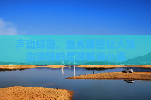 声动绿茵,盘点那些让人热血沸腾的足球解说小说