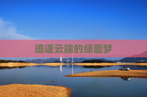 追逐云端的绿茵梦