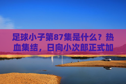 足球小子第87集是什么?热血集结,日向小次郎正式加入国际少年队!