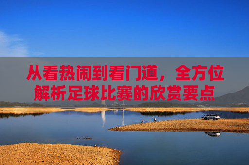 从看热闹到看门道,全方位解析足球比赛的欣赏要点