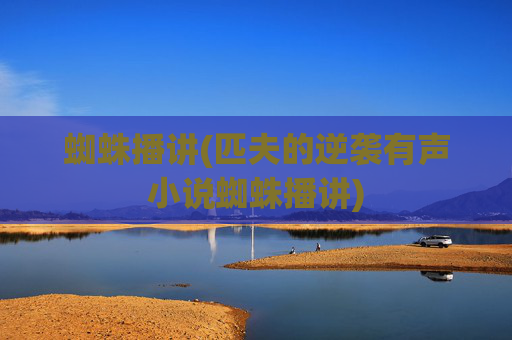 蜘蛛播讲(匹夫的逆袭有声小说蜘蛛播讲)