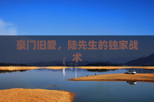 豪门旧爱,陆先生的独家战术