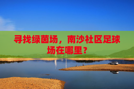 寻找绿茵场,南沙社区足球场在哪里?