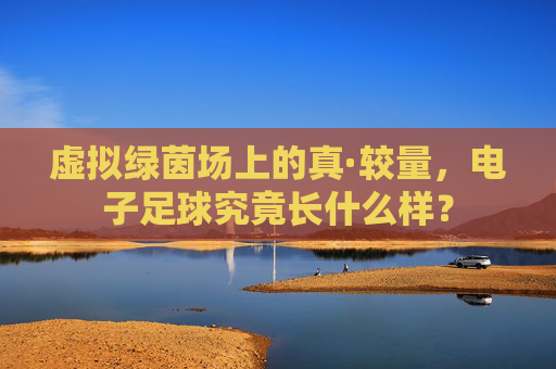 虚拟绿茵场上的真·较量,电子足球究竟长什么样?