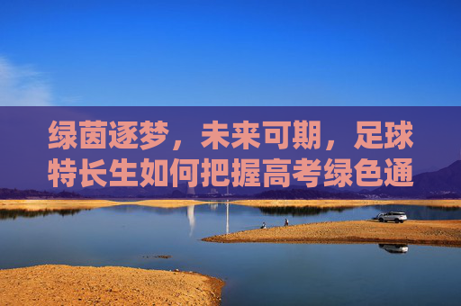 绿茵逐梦,未来可期,足球特长生如何把握高考绿色通道