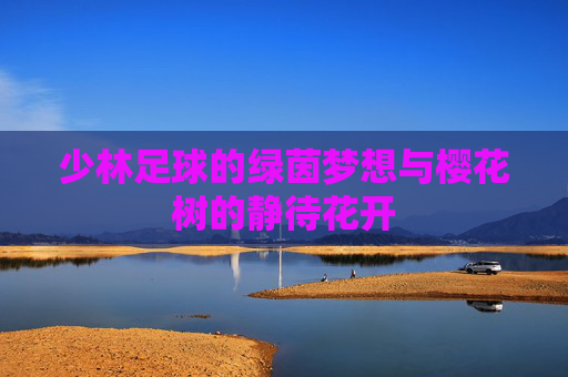 少林足球的绿茵梦想与樱花树的静待花开