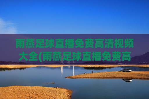 雨燕足球直播免费高清视频大全(雨燕足球直播免费高清视频大全英冠)