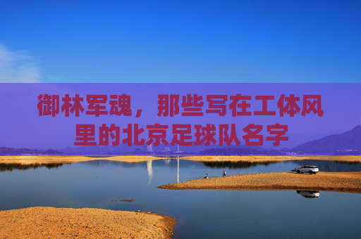 御林军魂,那些写在工体风里的北京足球队名字