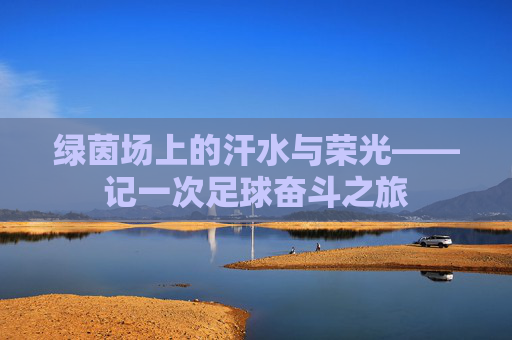 绿茵场上的汗水与荣光——记一次足球奋斗之旅