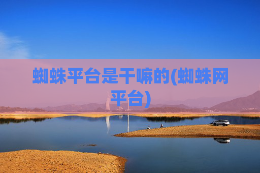 蜘蛛平台是干嘛的(蜘蛛网平台)