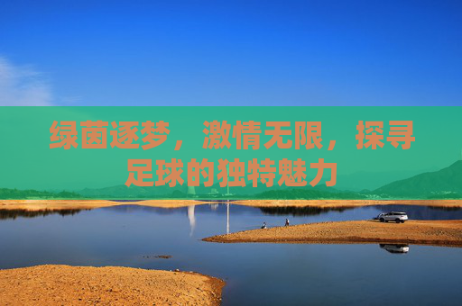 绿茵逐梦,激情无限,探寻足球的独特魅力