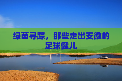 绿茵寻踪,那些走出安徽的足球健儿