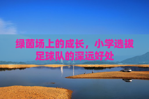 绿茵场上的成长,小学选拔足球队的深远好处