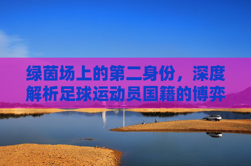 绿茵场上的第二身份,深度解析足球运动员国籍的博弈与融合