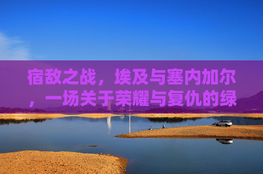 宿敌之战,埃及与塞内加尔,一场关于荣耀与复仇的绿茵对决
